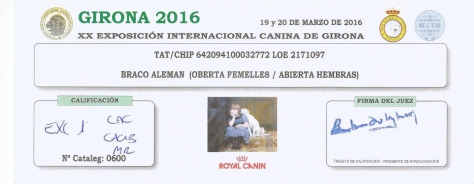XX Exposición Internacional Canina-Exc 1ª, CAC, CACIB, MR